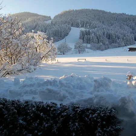 Eden Appartement *